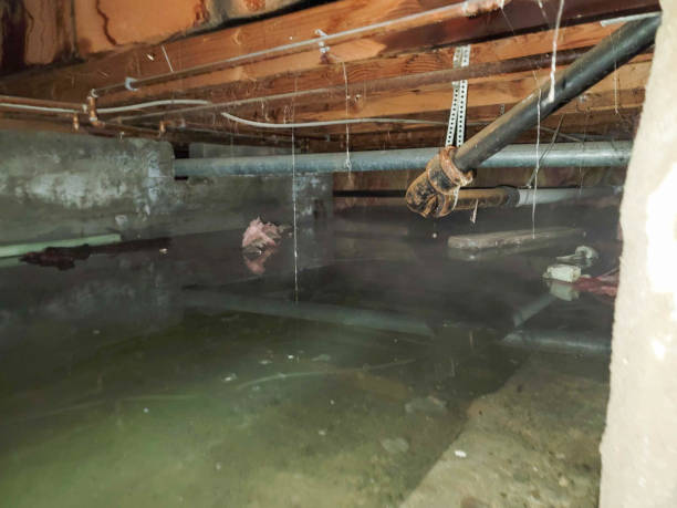 Best Water damage contractors near me  in Clearfield, PA